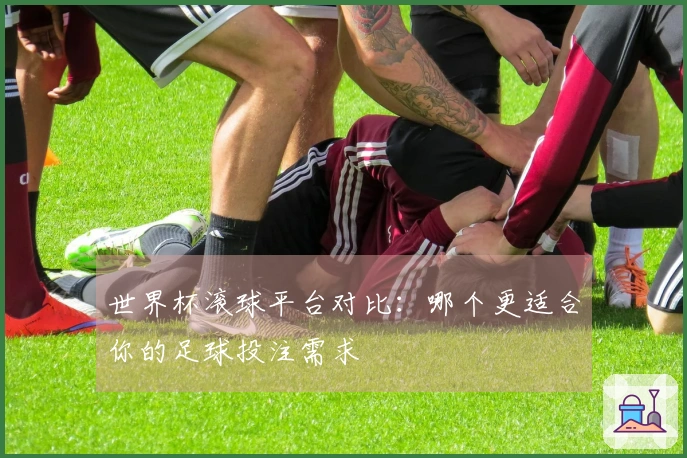 世界杯滚球平台对比：哪个更适合你的足球投注需求
